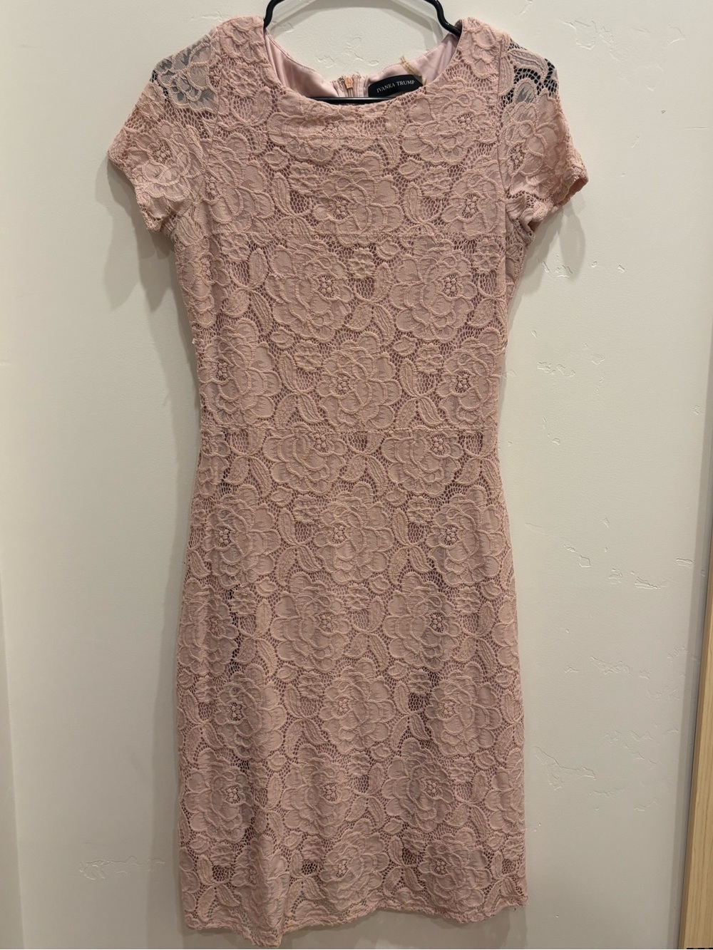 Petite Lace Sheath Dress in Blush Pink